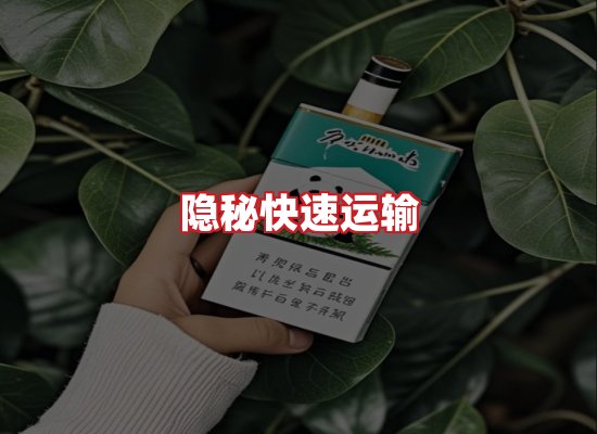 专业团队